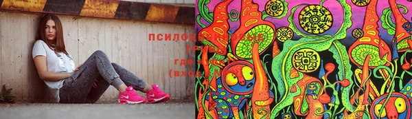 спайс Алексин