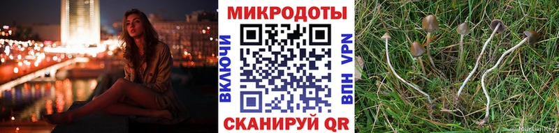 Галлюциногенные грибы GOLDEN TEACHER  Нестеров 