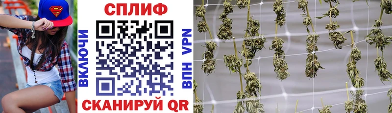 Каннабис MAZAR  Нестеров 